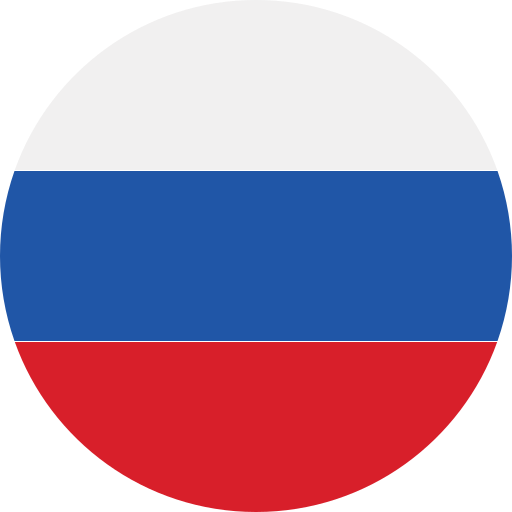 Russian Federation flag icon for language selection