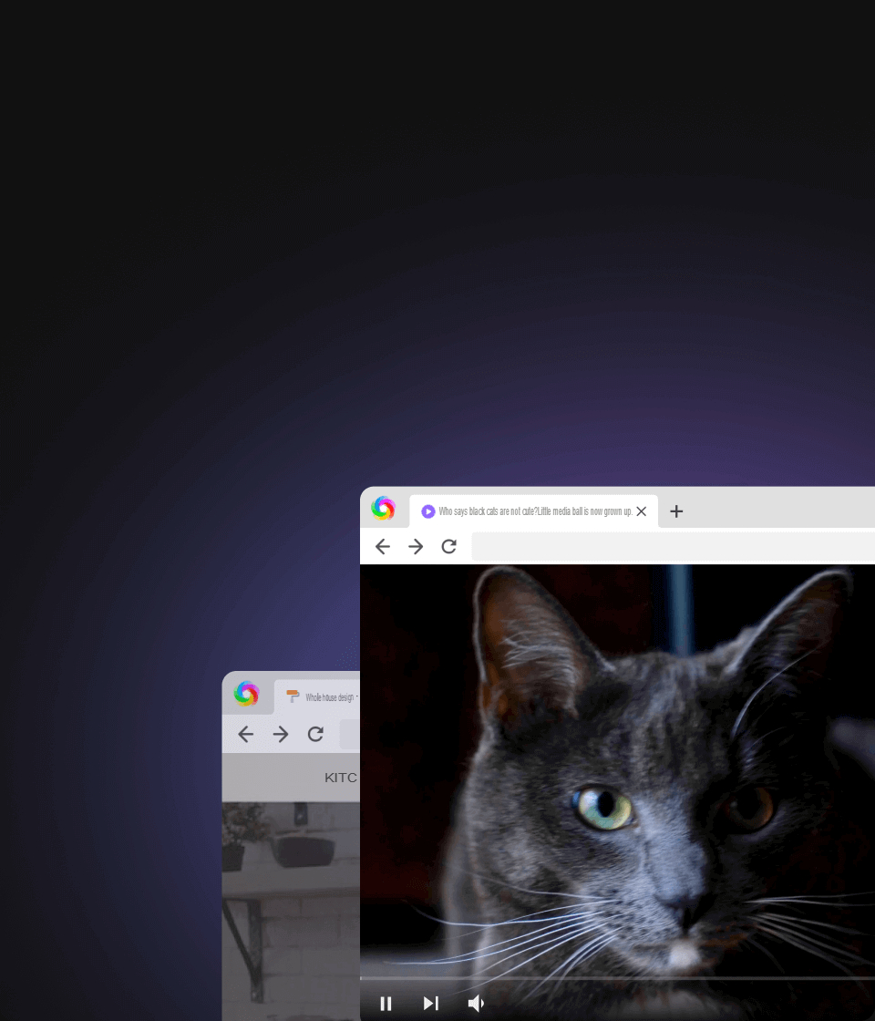 Screenshot of fast page parsing performance in 360 Browser