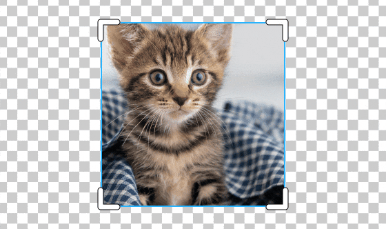 Inline video player carousel frame 3 within 360 Browser