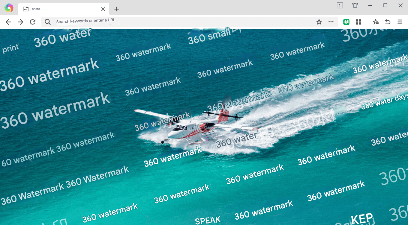 Video download and preview tool demonstration 1 in 360 Browser